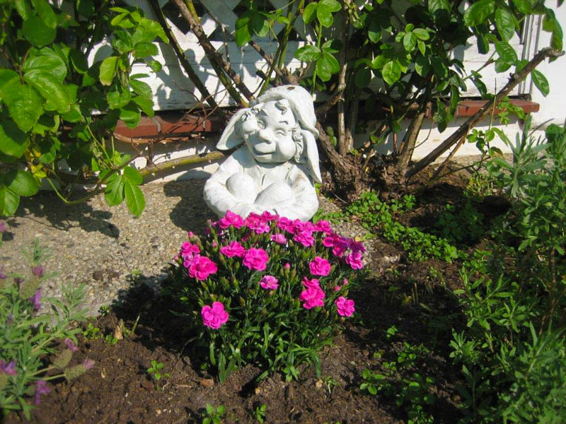 Amrum Pension Frühstück Garten